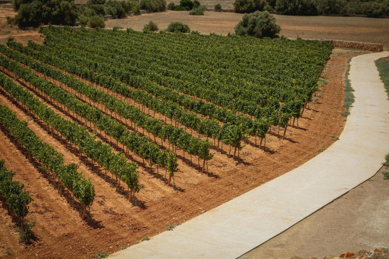Finca Gomera By Itinerem - Adults Only Llucmajor (Mallorca) Esterno foto