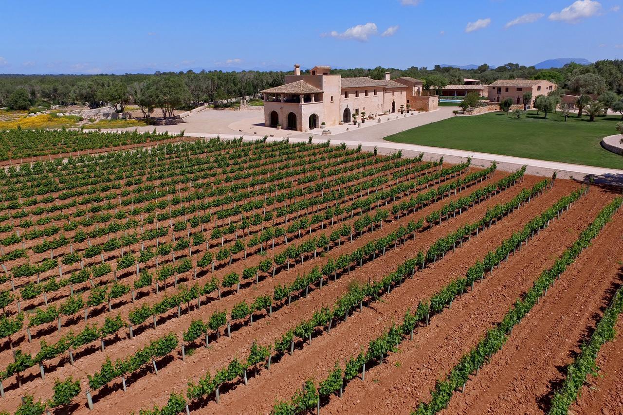 Finca Gomera By Itinerem - Adults Only Llucmajor (Mallorca) Esterno foto